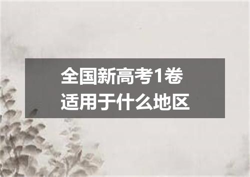全国新高考1卷适用于什么地区