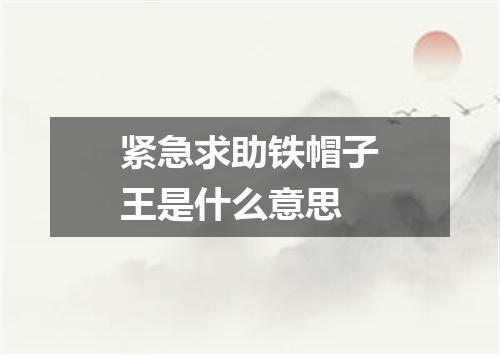 紧急求助铁帽子王是什么意思