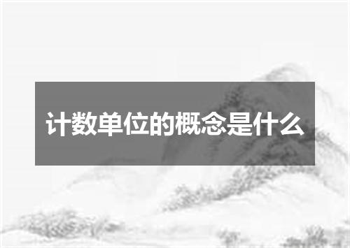 计数单位的概念是什么