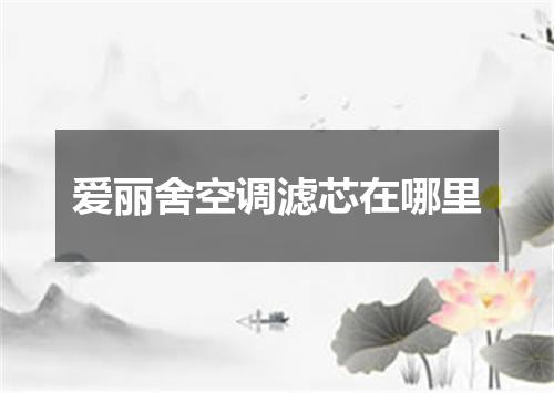 爱丽舍空调滤芯在哪里