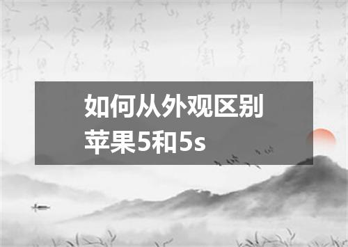 如何从外观区别苹果5和5s