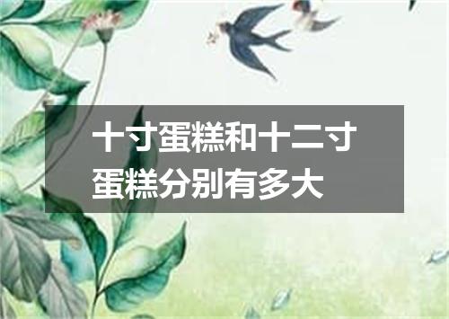 十寸蛋糕和十二寸蛋糕分别有多大