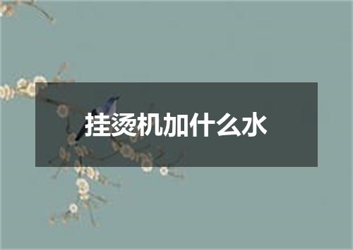 挂烫机加什么水