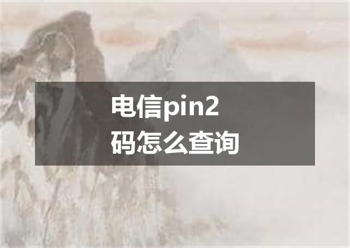 电信pin2码怎么查询