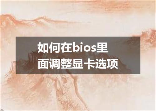 如何在bios里面调整显卡选项