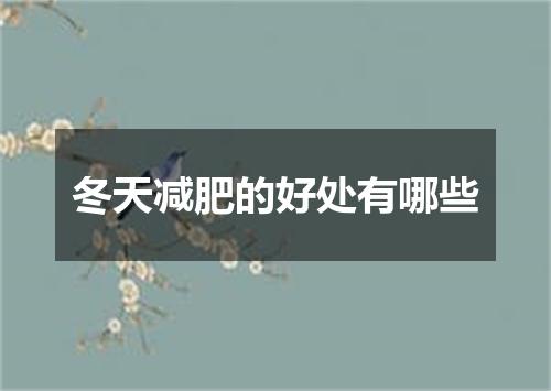 冬天减肥的好处有哪些