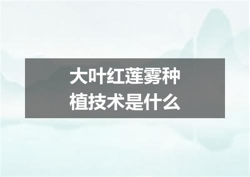 大叶红莲雾种植技术是什么