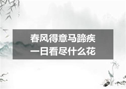 春风得意马蹄疾一日看尽什么花