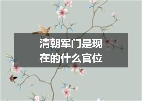 清朝军门是现在的什么官位