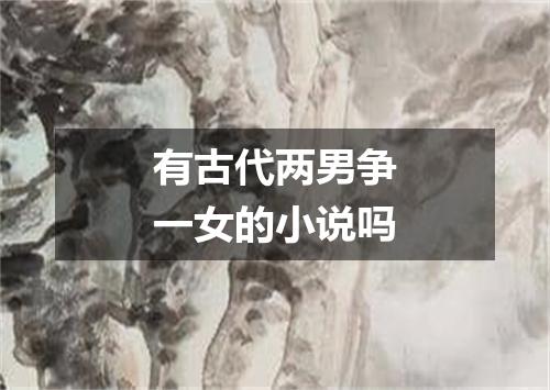有古代两男争一女的小说吗