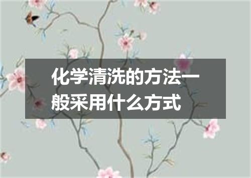 化学清洗的方法一般采用什么方式