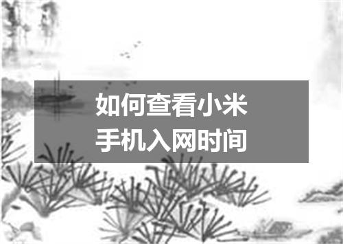 如何查看小米手机入网时间