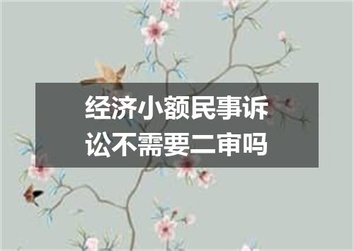 经济小额民事诉讼不需要二审吗