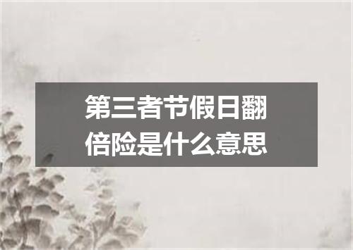 第三者节假日翻倍险是什么意思