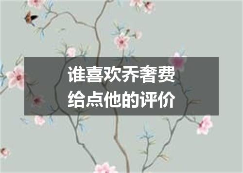 谁喜欢乔奢费给点他的评价