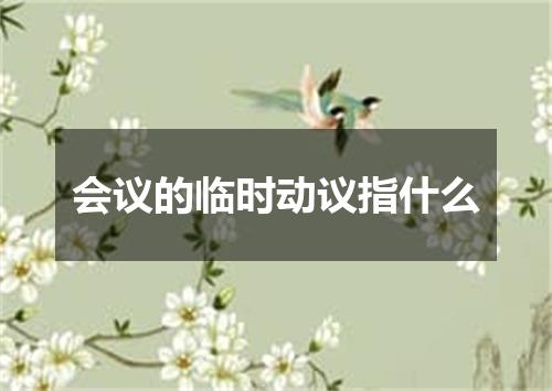 会议的临时动议指什么