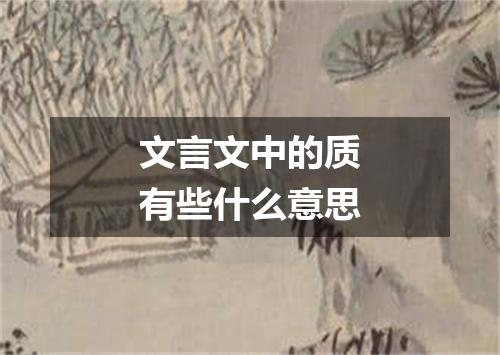 文言文中的质有些什么意思