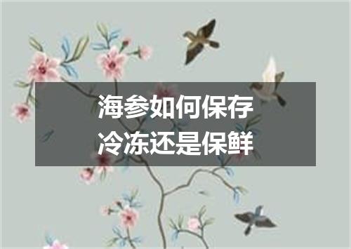 海参如何保存冷冻还是保鲜
