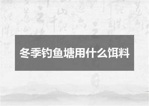 冬季钓鱼塘用什么饵料