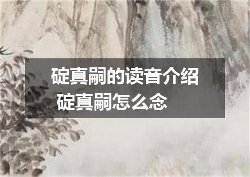 碇真嗣的读音介绍 碇真嗣怎么念