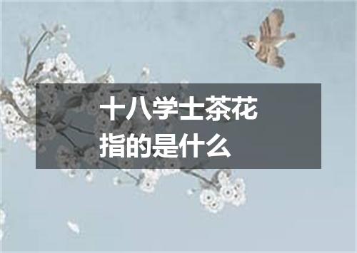 十八学士茶花指的是什么