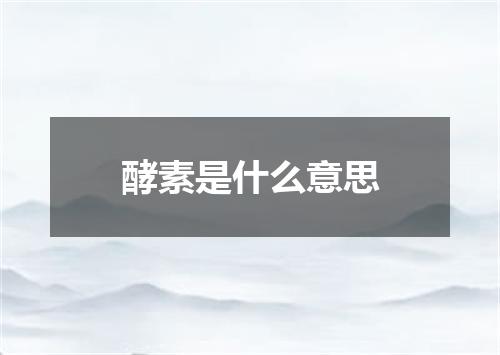 酵素是什么意思