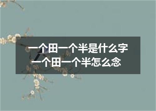 一个田一个半是什么字 一个田一个半怎么念