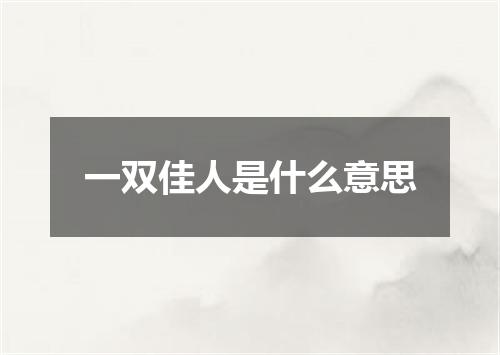 一双佳人是什么意思