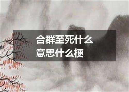 合群至死什么意思什么梗