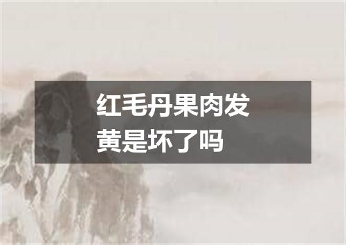 红毛丹果肉发黄是坏了吗