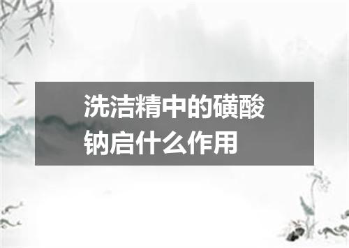 洗洁精中的磺酸钠启什么作用