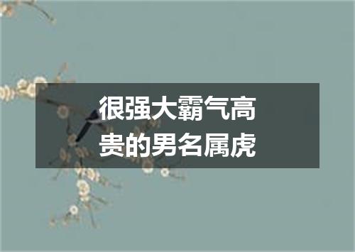 很强大霸气高贵的男名属虎