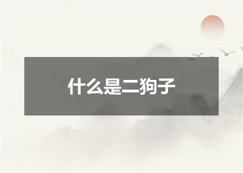 什么是二狗子