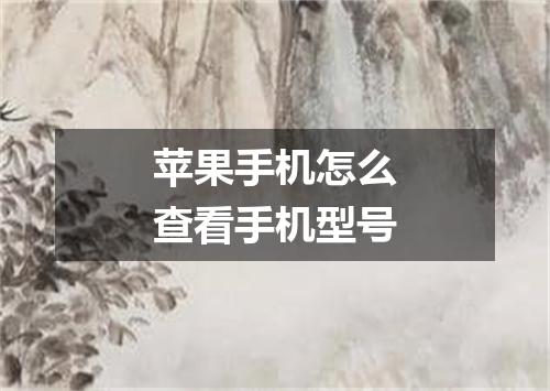苹果手机怎么查看手机型号