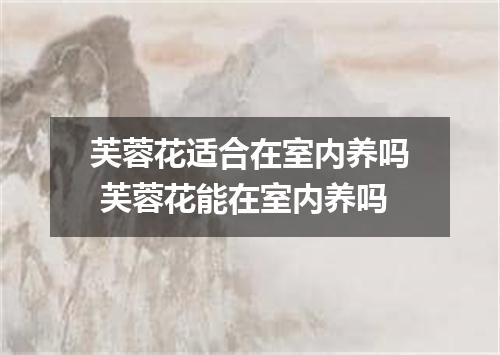 芙蓉花适合在室内养吗 芙蓉花能在室内养吗