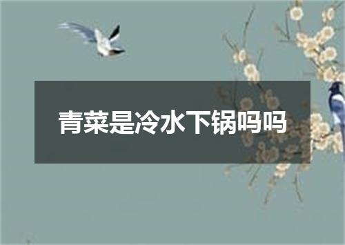 青菜是冷水下锅吗吗