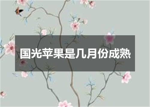 国光苹果是几月份成熟