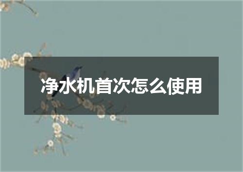 净水机首次怎么使用
