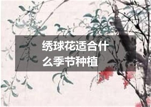 绣球花适合什么季节种植