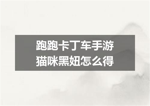 跑跑卡丁车手游猫咪黑妞怎么得