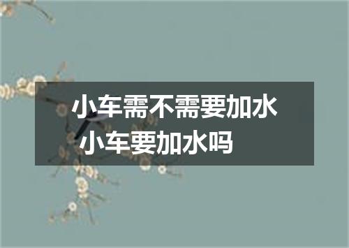小车需不需要加水 小车要加水吗