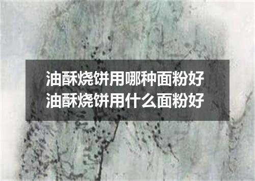 油酥烧饼用哪种面粉好 油酥烧饼用什么面粉好