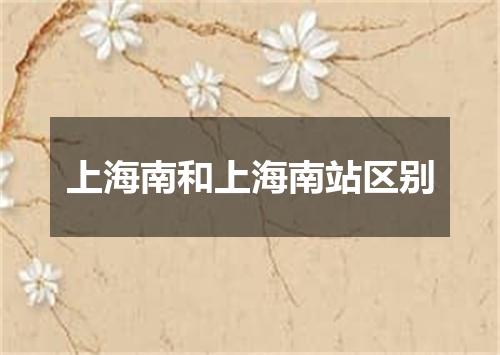 上海南和上海南站区别