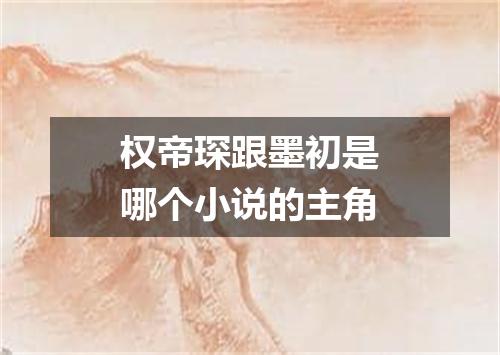 权帝琛跟墨初是哪个小说的主角