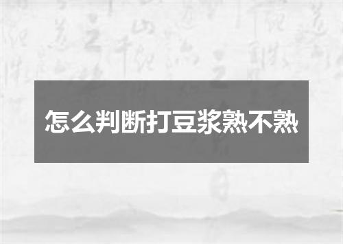 怎么判断打豆浆熟不熟