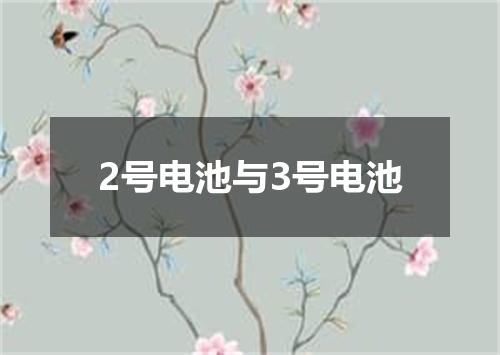 2号电池与3号电池