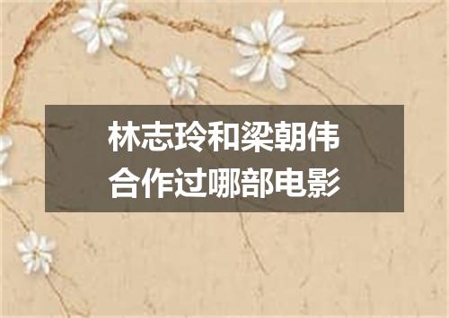 林志玲和梁朝伟合作过哪部电影