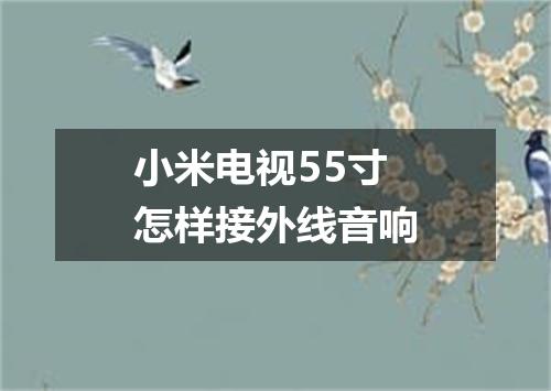 小米电视55寸怎样接外线音响