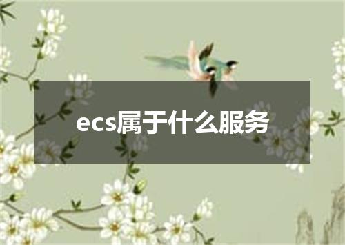 ecs属于什么服务