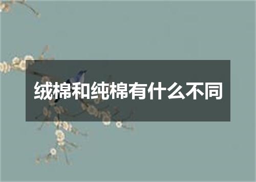 绒棉和纯棉有什么不同